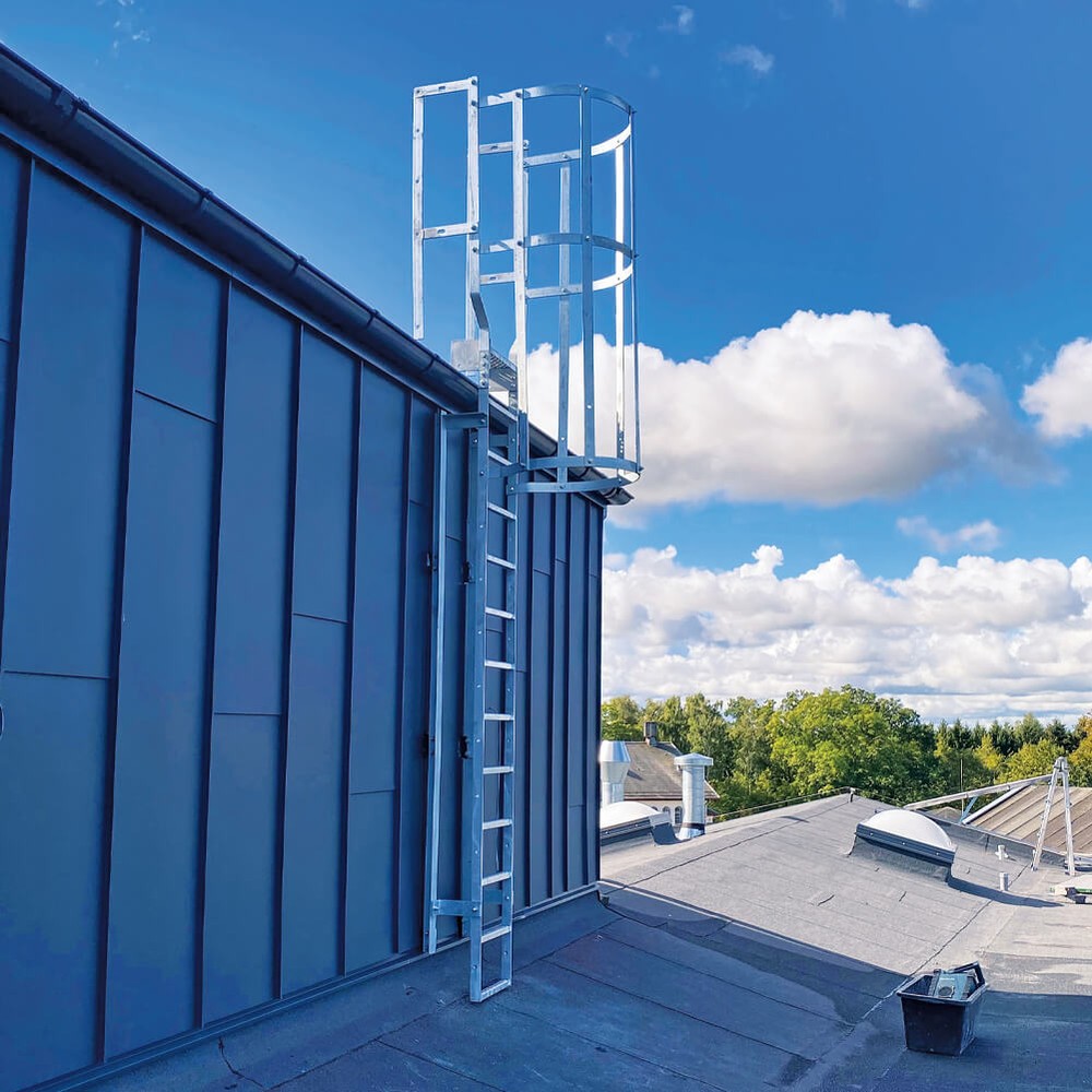 EX 6500 Ladder System, 6200-6650mm Vertical Access Ladder