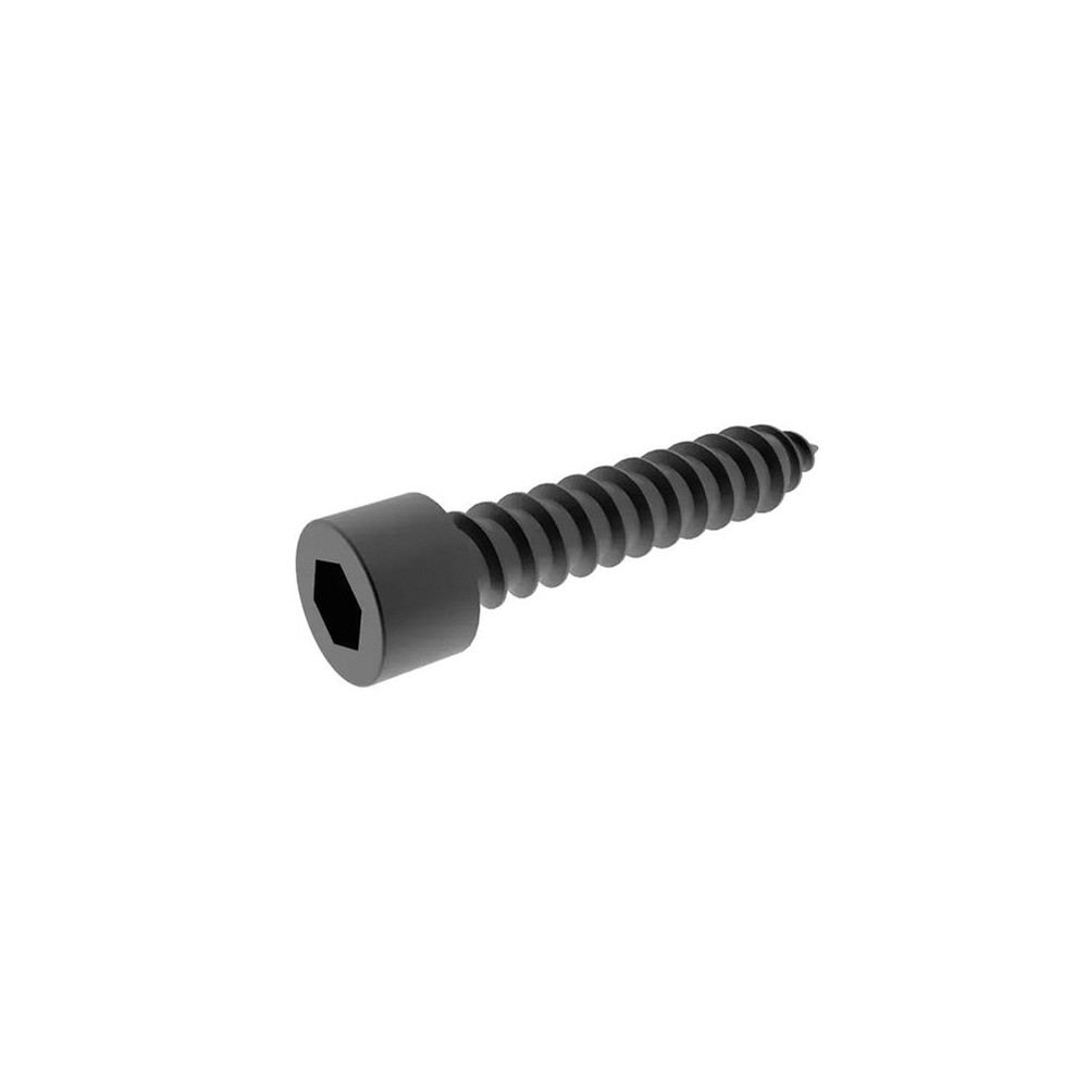 Decking Clip Screw - Black (Bag of 100) Stainless For Use With 79TTDC01/79TTSC01
